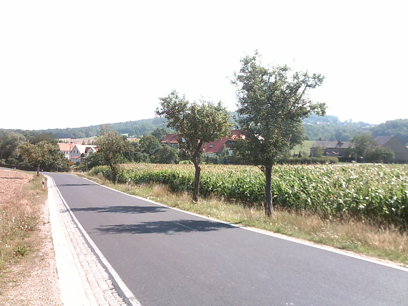 Straße nach Binnewitz