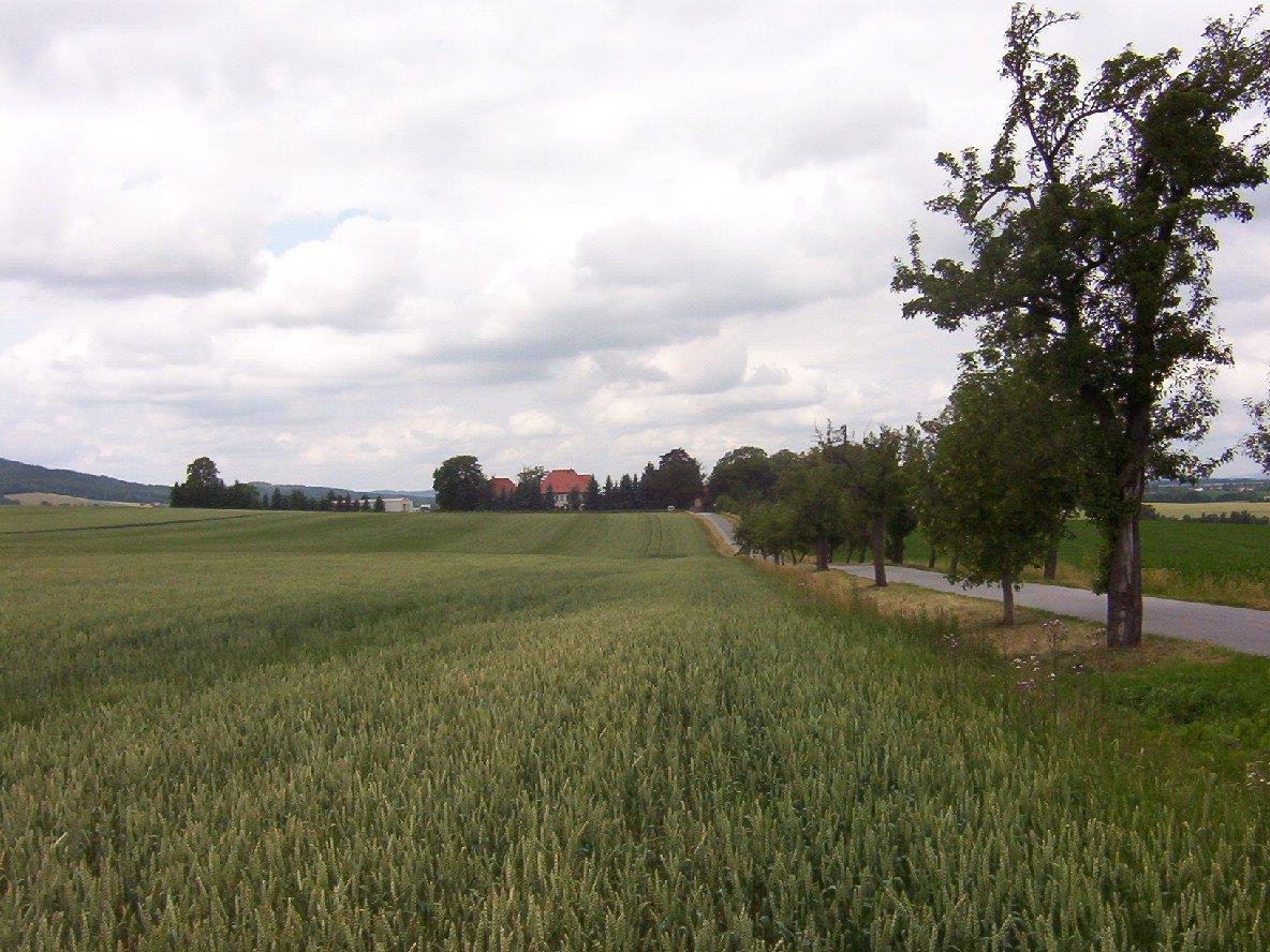 Zufahrtsstraße nach Denkwitz